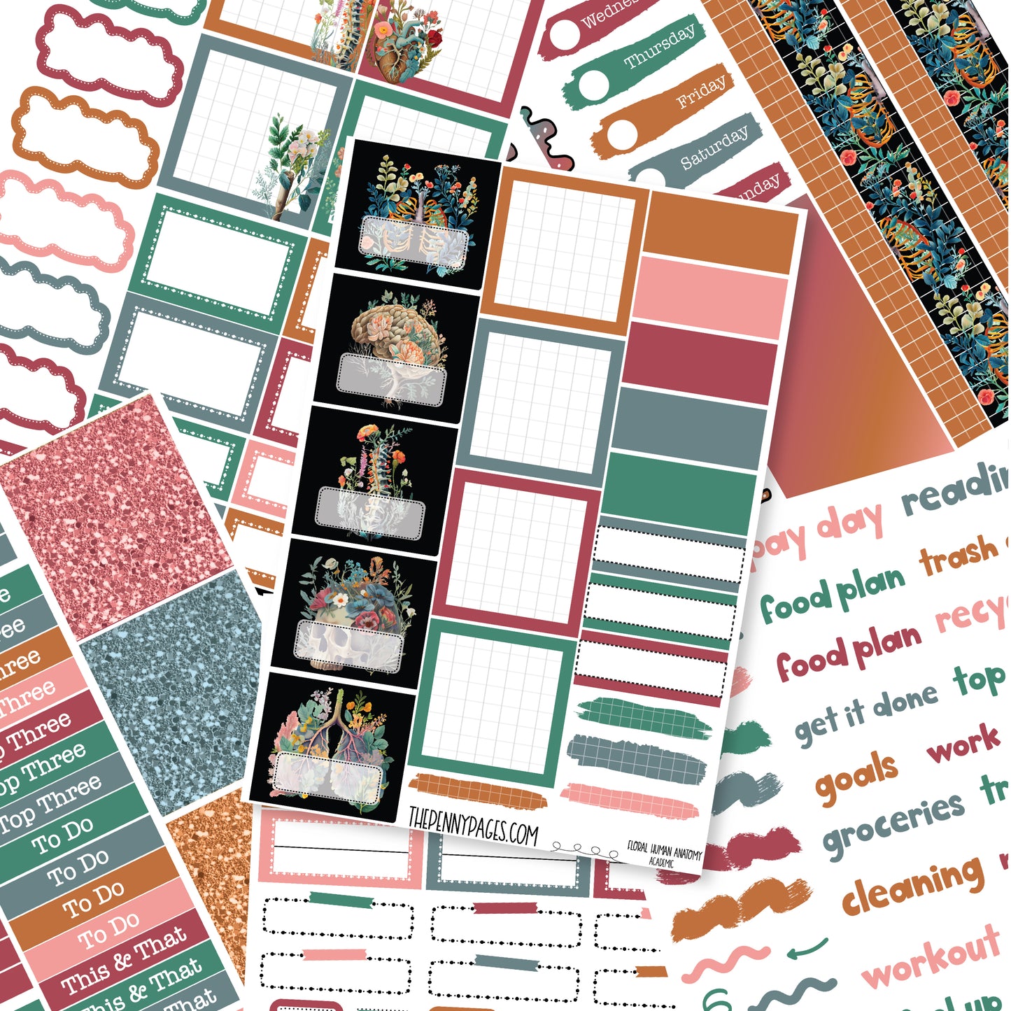 Floral Human Anatomy - Pentrix weekly kit