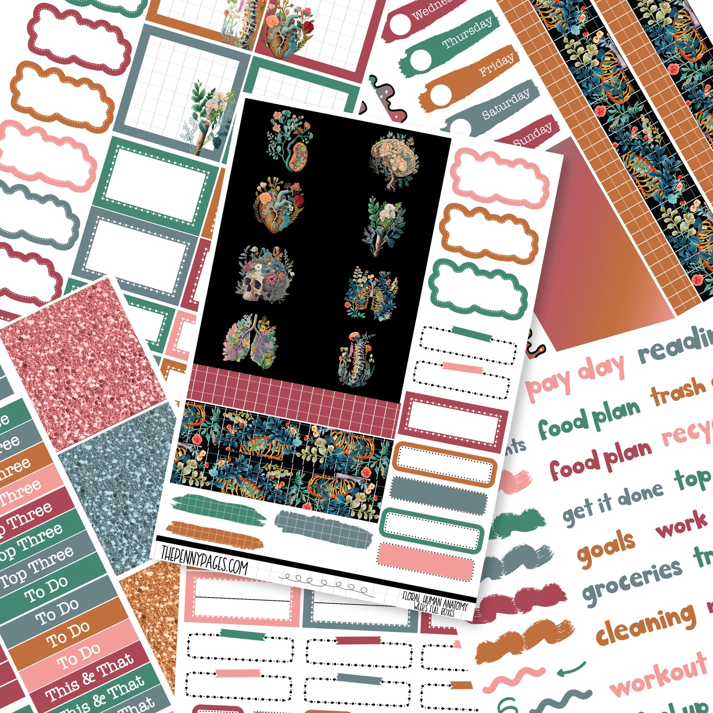 Floral Human Anatomy - Weeks vertical weekly kit