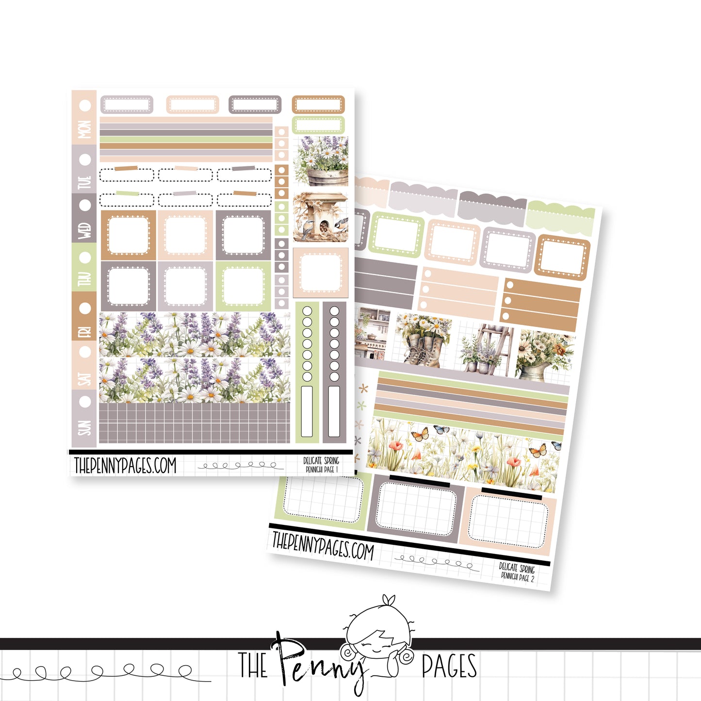 Delicate Spring - Pennichi