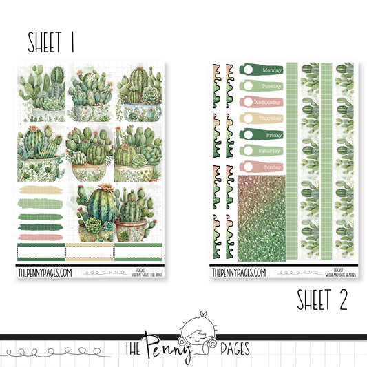 a sheet of stickers with a cactus and succulents
