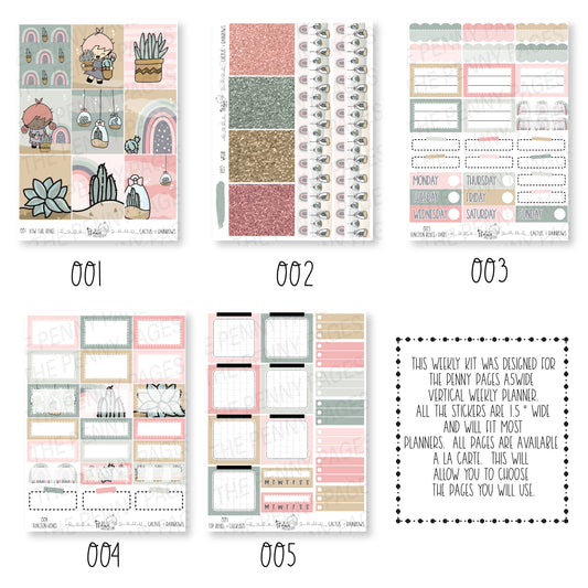 A5W - Cactus and Rainbows