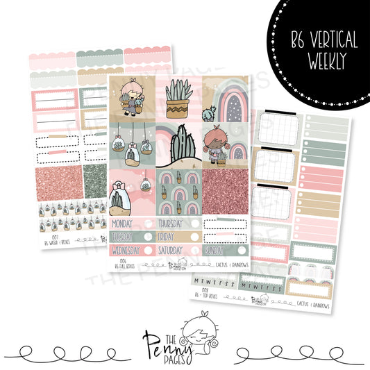 B6 - Cactus and Rainbows